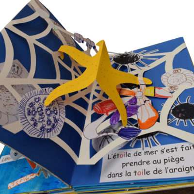 pop-up scolaires livre sons de la mer